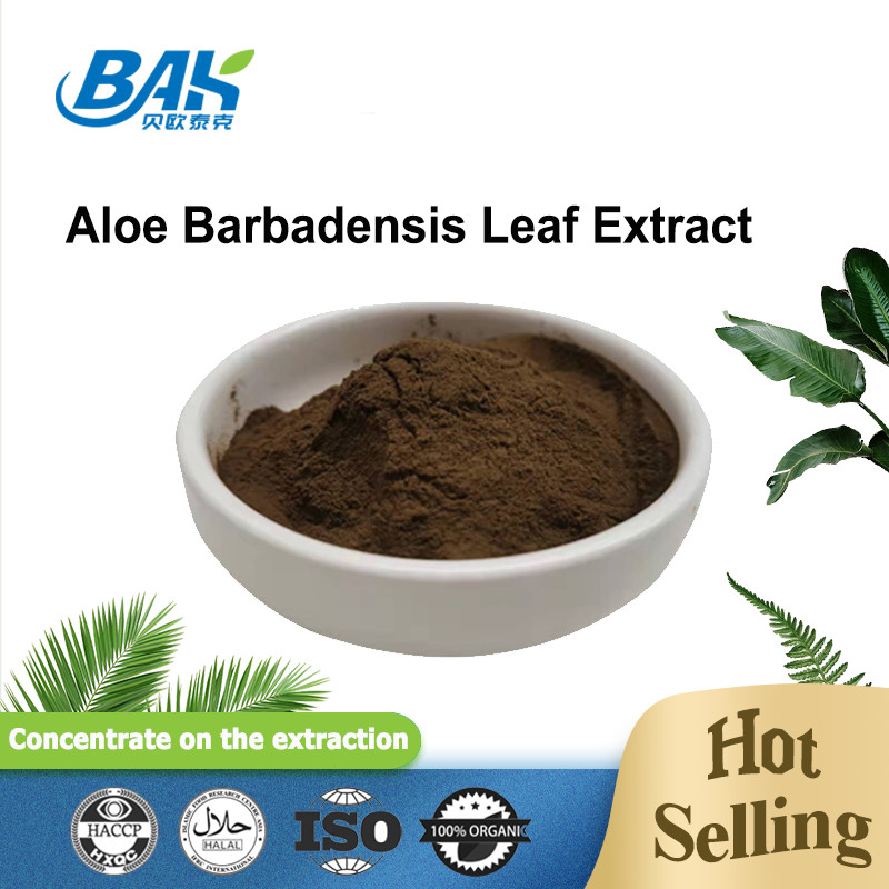 100/1 200/1 poudre fine de Cas 85507-69-3 Brown d'extrait de feuille de Barbadensis d'aloès