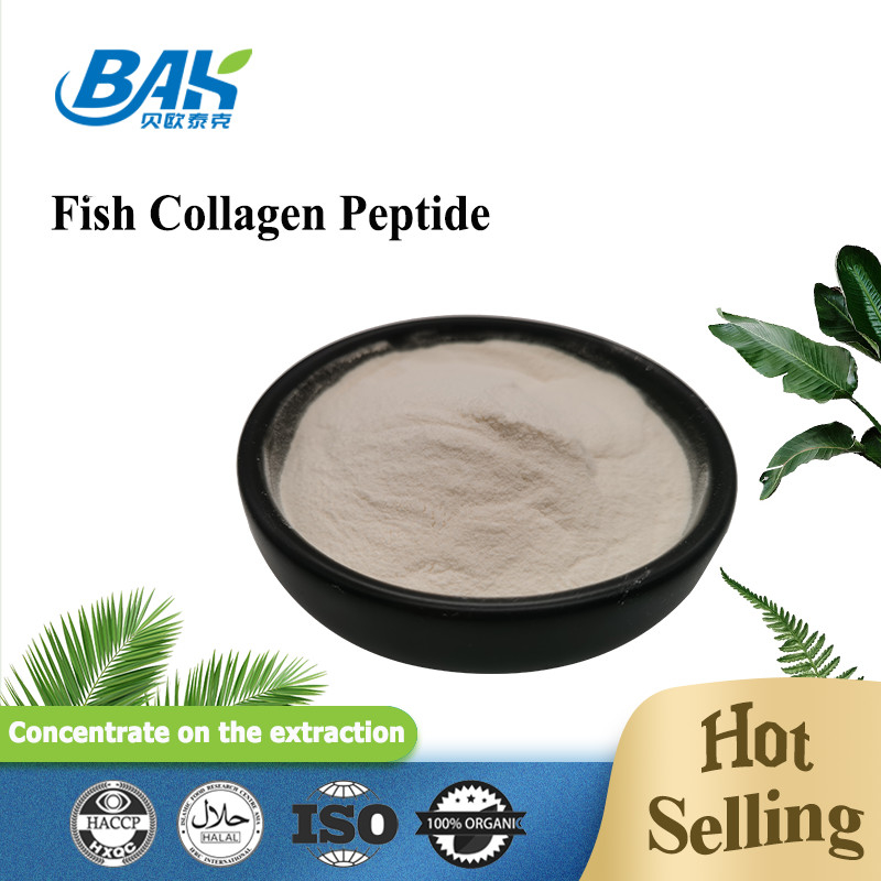Peptide de collagène de poissons de peau d'échelle jaune-clair à la poudre 100 de Brown maille 80 40