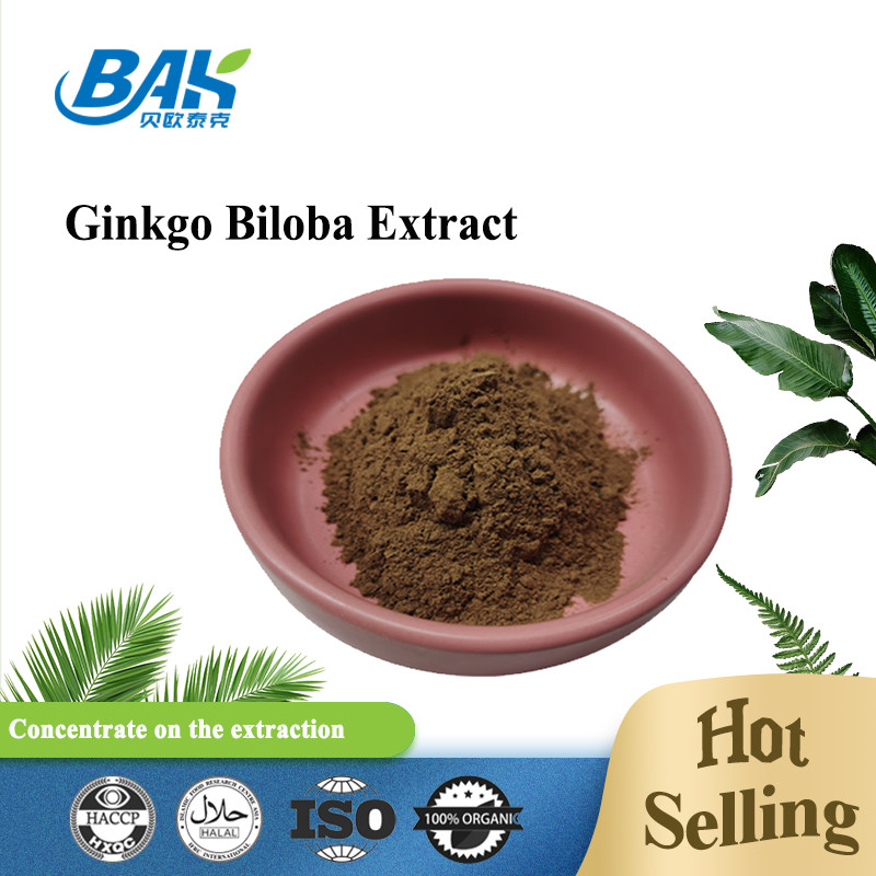CAS 90045-36-6 Extrait de ginkgo biloba Glycosides flavoniques 24% Terpéniques Lactories 6%