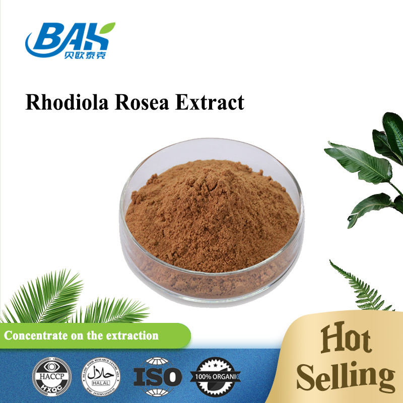 Supplément de santé biologique pour hommes Rosavin 1% -10% Rhodiola Rosea L Extrait de poudre brune rouge