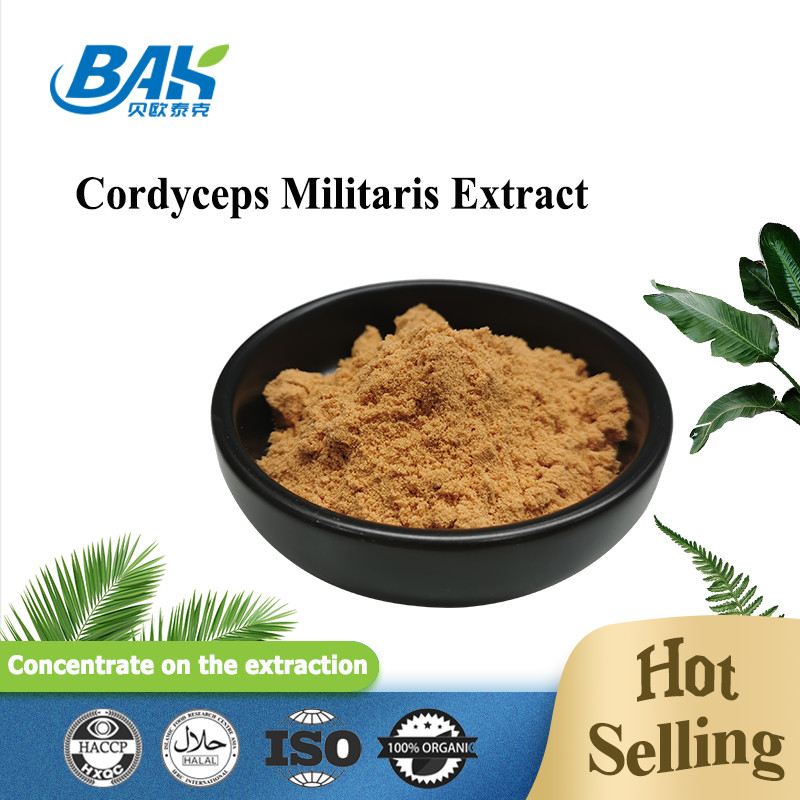 Supplément de protection de foie d'extrait de Cordyceps Militaris poudre de 1% - de 6% Cordycepin