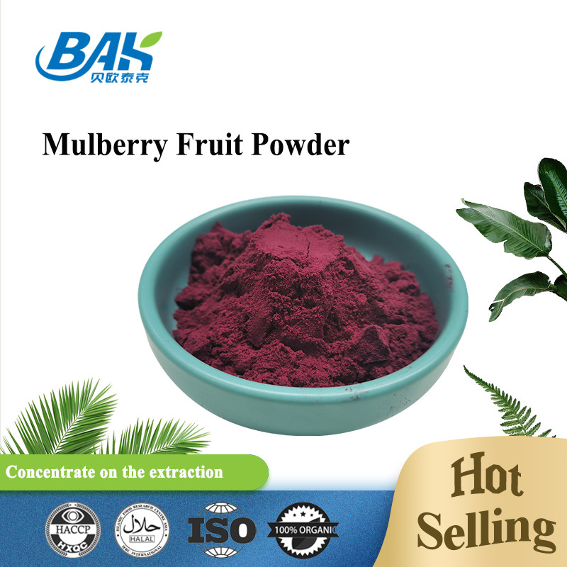 Produit biologique Morus Alba L Fruit de mûrier Poudre violette Lieu de stockage frais et sec